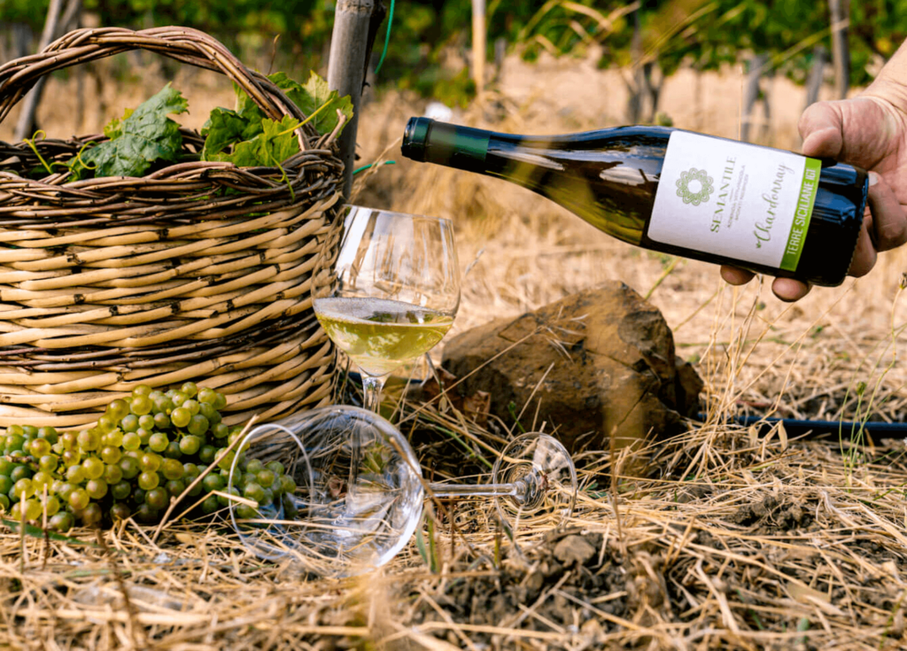 Chardonnay Semantile di Sicilia